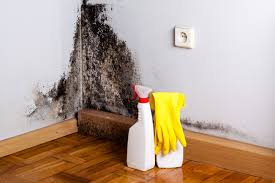 Best Biohazard Mold Removal  in Midland City, AL